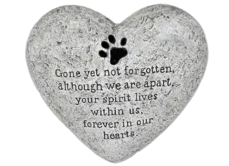 ПДР ГРОБЉА ЗА КУЋНЕ ЉУБИМЦЕ У СРЕМСКОЈ МИТРОВИЦИ